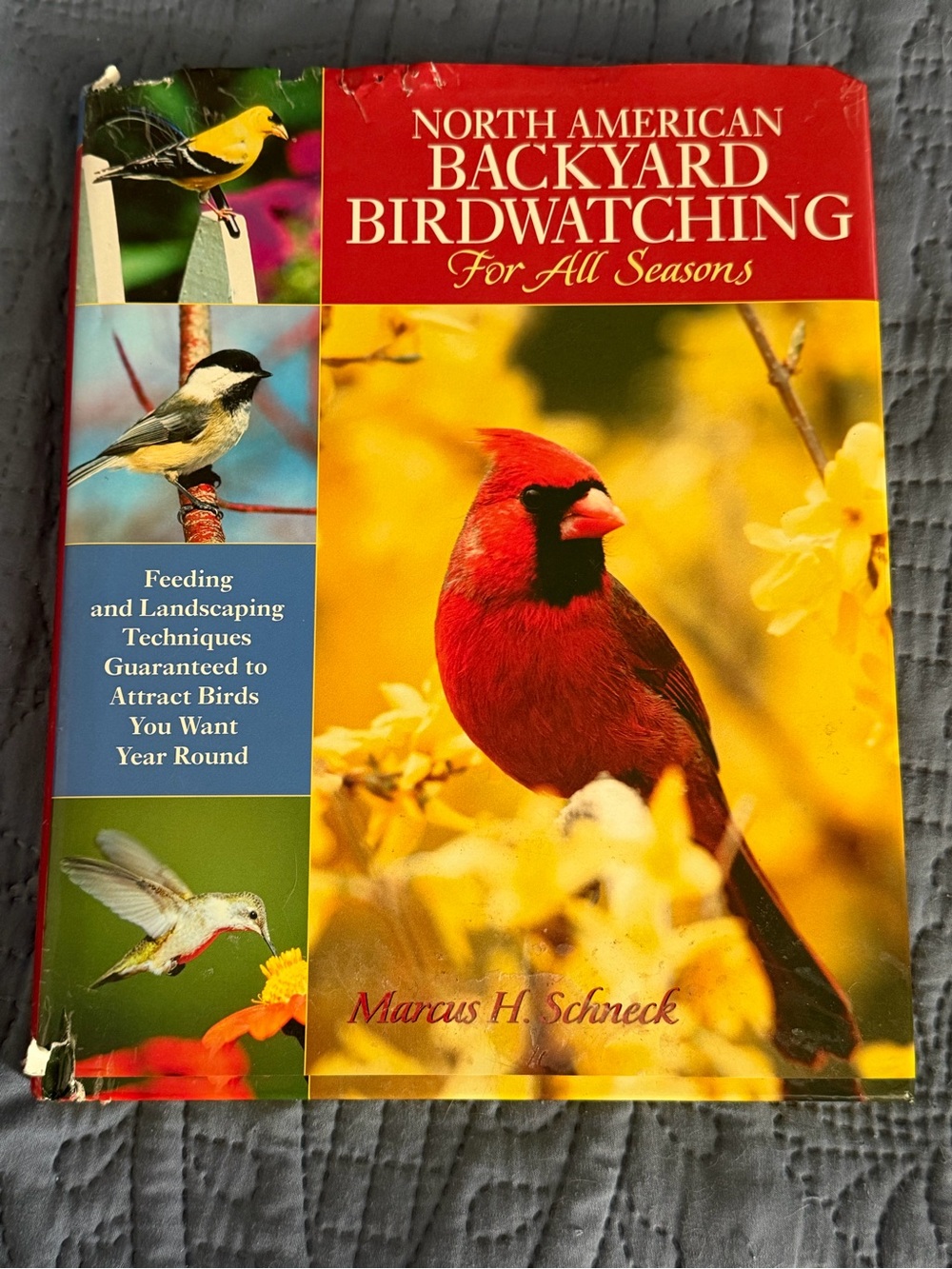 Source Unknown - Red & Yellow Backyard Birdwatching Guide
